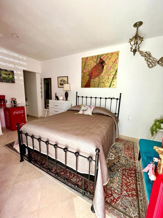 סאן מיגל דה אלנדה Small Pet Friendly, Pool And Gym Apartment מראה חיצוני תמונה