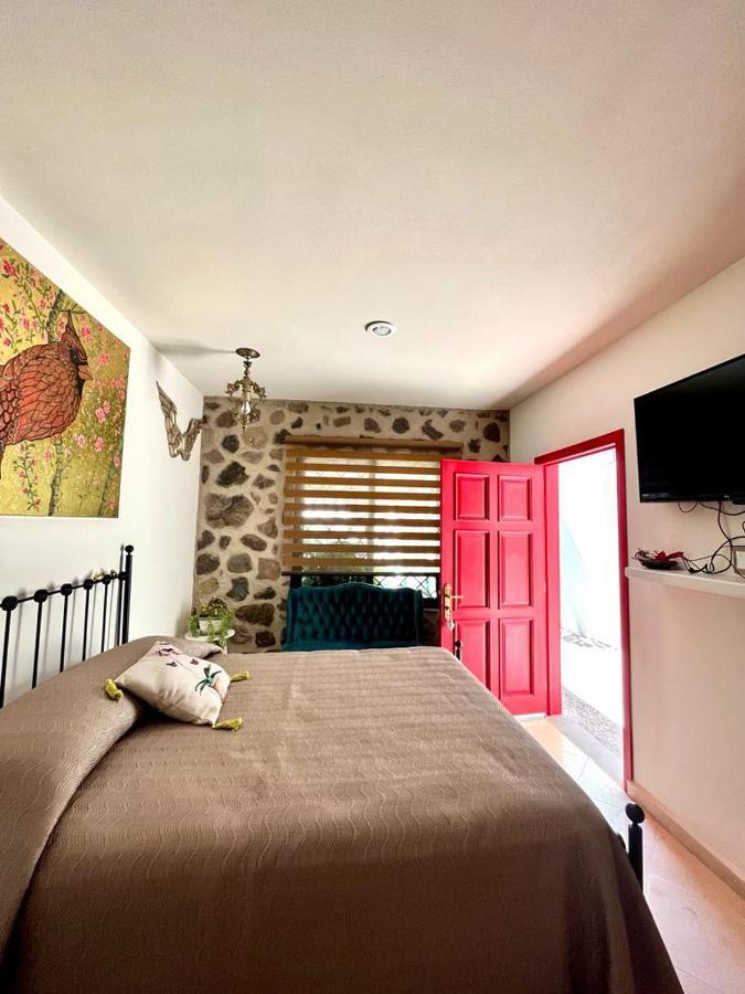 סאן מיגל דה אלנדה Small Pet Friendly, Pool And Gym Apartment מראה חיצוני תמונה
